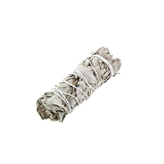 Californian Sage (4 inches)