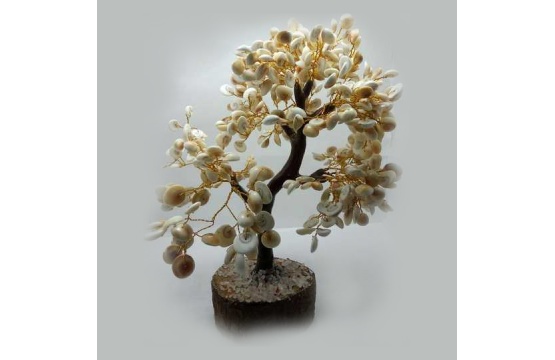 Gomti Chakra Tree (500 Beads)