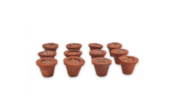 Original Cow Dung Sambrani Cups ( Set of 32)